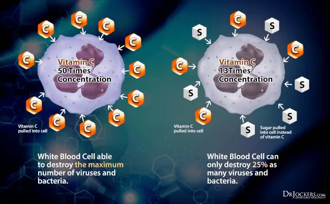 Vitamin C Antiviral Protection