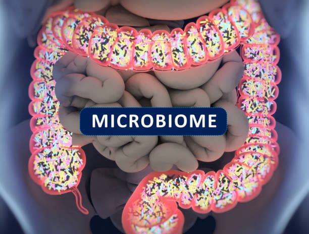 Using the Microbiome to Diagnose Disease