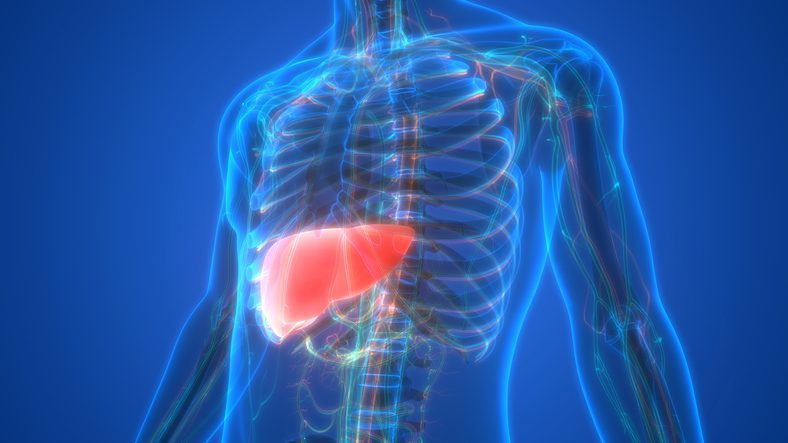 Glutathione May Improve Nonalcoholic Fatty Liver Disease (NAFLD)